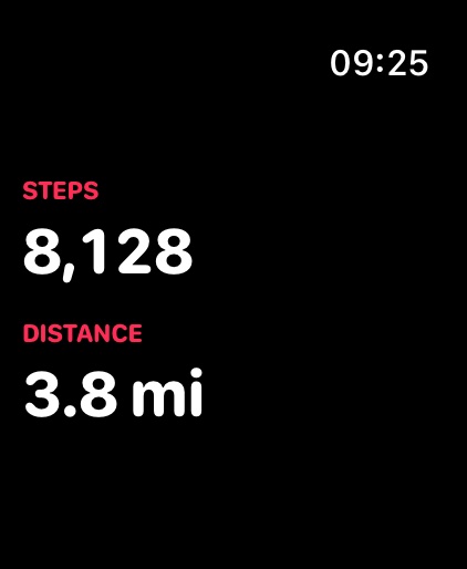 Watch app showing today's steps and distance